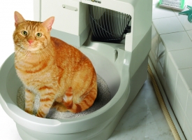Problémy s neoriginálním stelivem do kočičí toalety CatGenie