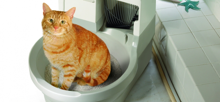 Problémy s neoriginálním stelivem do kočičí toalety CatGenie